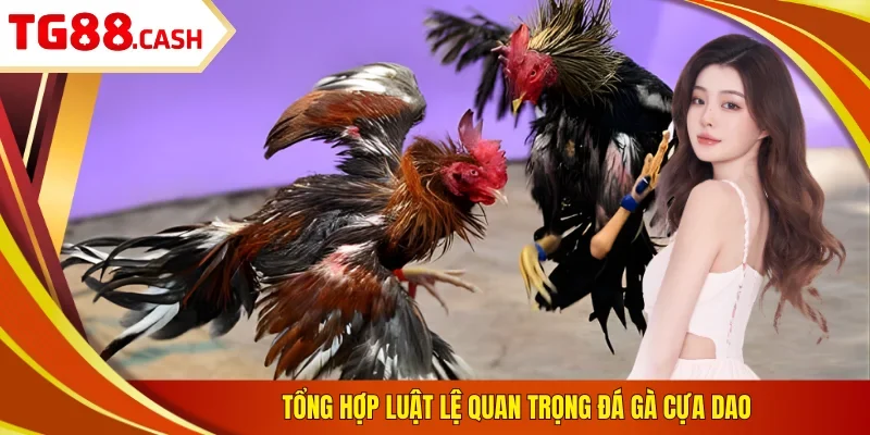 Tổng hợp luật lệ quan trọng đá gà cựa dao