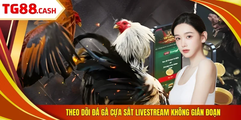 Theo dõi đá gà cựa sắt livestream không gián đoạn