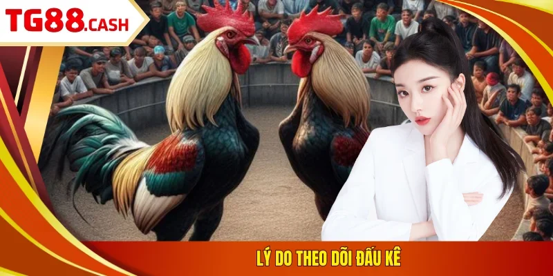 Lý do theo dõi đấu kê
