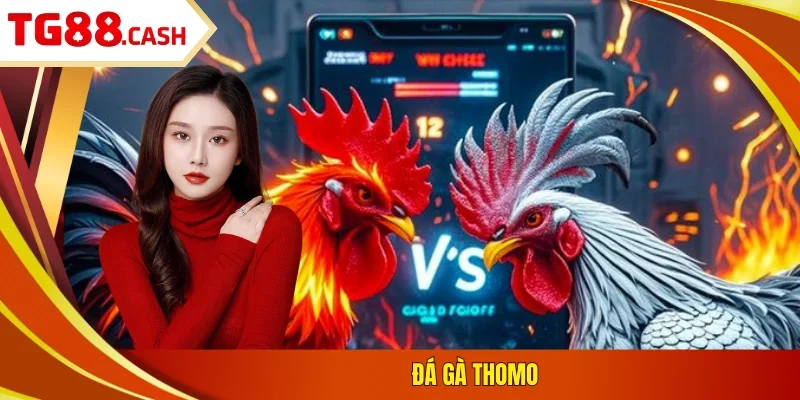 Đá gà Thomo