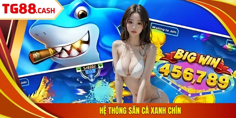 Hệ thống săn cá xanh chín